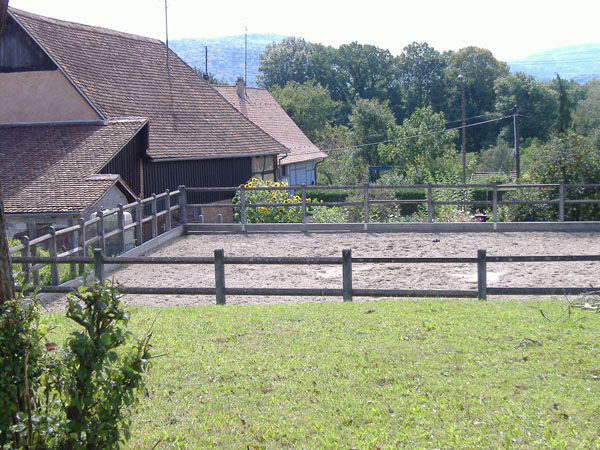 DSCF0879