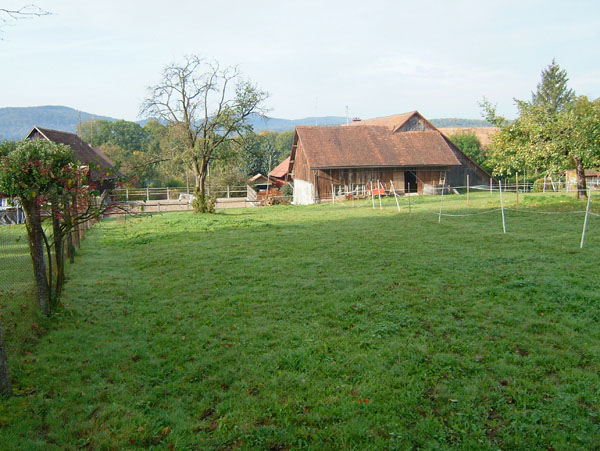 DSCF1209