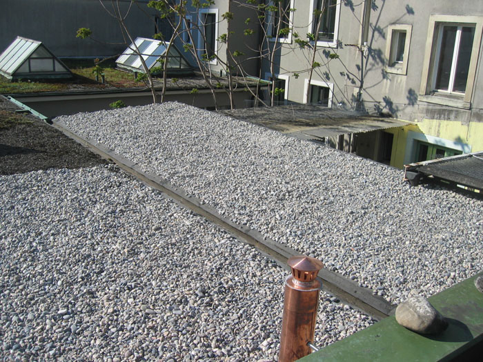 Juni 2008 019